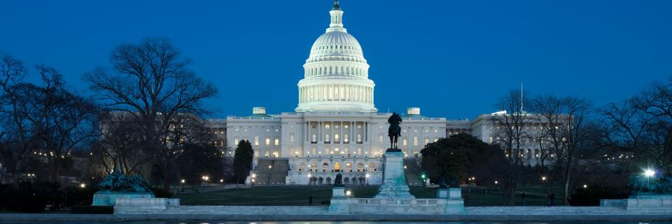 white house at night bg