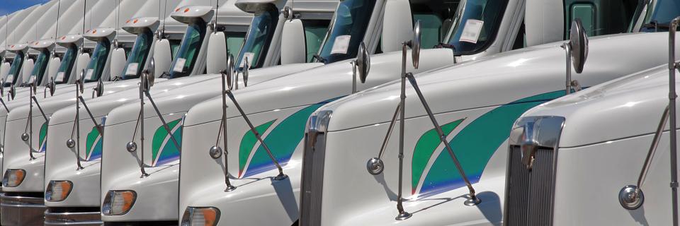 Trucks parked lined up for loading